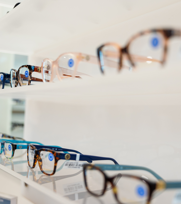 Row of eyeglasses on a display shelf