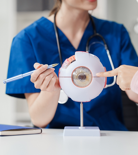 Optometrist sitting at a table with a model of the eye